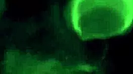 i'm beth harmon playing fuck chess with you in vr.