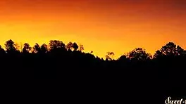 The gorgeous teen says, 'Let me pleasure your cock, stepdad,' in this erotic scene