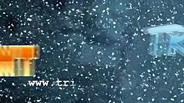 Tricky agent helps blond student sonja find cash with blowjob and sex.