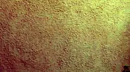 Outdoor Lesbians Dive Into Muff And Pussy