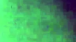 amateur couple records homemade sex tape with toys and anal