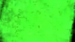 Young Wife Learns To Give Perfect Blowjob On Webcam While Husband Is Away, Enjoying Shaved Pussy Play