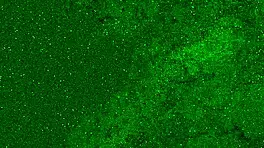 Teen 18+ Fisting Herself in Close-Up Solo