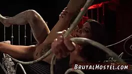 屁盒玩18岁游客费莉西蒂猫女和杰德超兴奋