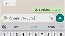 My sister-in-law's whore sends everything on whatsapp