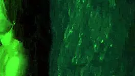 in this rough outdoor scene, the neighbor dominates the teen in public, capturing every intense moment on tape