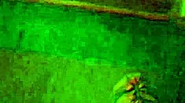 Cock Sucking Coed Whore Gets Banged Hard In Dorm