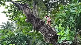 Caught a half-naked girl on public beach, then drilled her hard in missionary