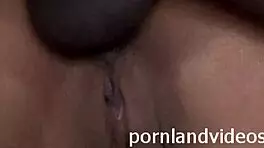 i'm massaging those horny asses with my big black cock