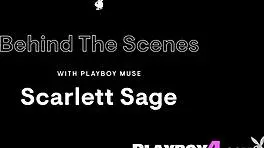 stunning teen waitress scarlett sage strips and poses naked on the bar!