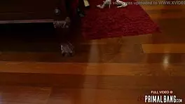 Booty popping brunette slut amy latina in lingerie performs striptease before assfucking