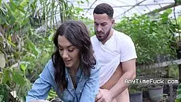 Hey, Ever Tried Free Use by the Ficus With a Hot Group? 😜