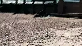 bbc pounds cheating redhead teen 18+ hard on public beach