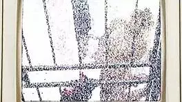 Student Jackie Banes Busted And Cum Blasted By Doctor Tampa!