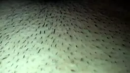 Teen 18+ Rides Hard In Homemade Orgasm