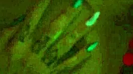 Dread Hot And Juliana Inked Share Monster Cock For The First Time!