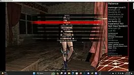 Damsels and dungeons quest gone wild 😏