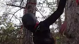 tied up latina in pantyhose and heels for outdoor rough