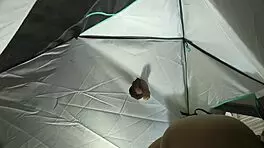 Hot babysitter sucks big cock in tent