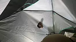 Hot babysitter sucks big cock in tent