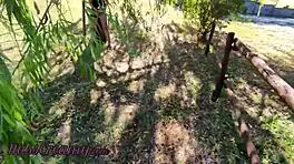 I watched her flash pussy in public park. That young 18+ guy helped her squirt despite the risk.