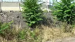 Young Blonde Teen Public Gang Bang Orgy Threesome On Street