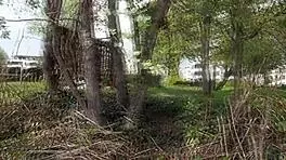 Old Ugly German Feels Passion Fucking Young Teen Outdoors In Doggy