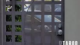 charlotte sins gives lapdog blowjob to chad alva