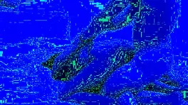 I'm this young teen 18+ gettin' fucked quick in my homemade vid, small tits bouncin'