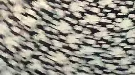 I Dance Reaggaeton Mix On Webcam As A Teen.