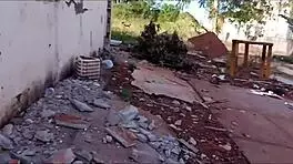 i picked up a brazilian teen on the street and ate her pussy in the woods