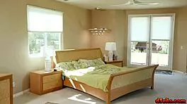 Babysitter River Lynn's Perfect Asshole Drilled by Ryan Mclane in Close-Up