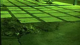 stranded teen roughly fucked outdoors with bondage