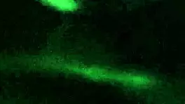 this tattooed brunette milf sucks a monster cock in sexy lingerie.