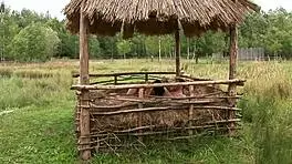 Brunette Banged Outdoors