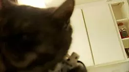 Hot blonde college girl has hardcore sex with colleagues 😏 big tits and all