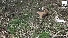 German Teen 18+ Pussy Stuffed in Wild Public Blind Date Scene