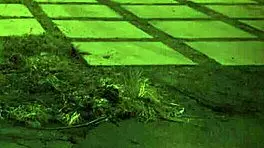 bdsm session with rough doggy style and bondage in hd