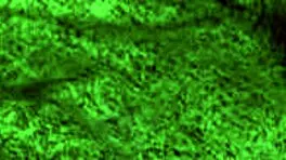 Want to ride and blowjob your teen?