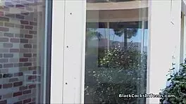 perky maya sucks huge black cock