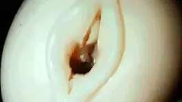 Bold Russian pornstar girlfriend achieves intense orgasm in doggystyle position bent over.