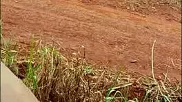 Big ass Brazilian pornstar, ready for this hardcore gangbang?