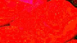 young latina masturbates to intense orgasm