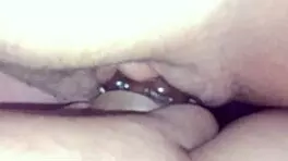 The Traveler Hired The Wrong Tour Guide