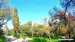 teenie gets juicy cum in mouth in athens sex vlog 😏