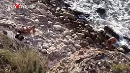 Young tanned chick flashes tits on beach, gets fucked by stranger in public.