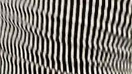 Caught in forest begging for dick