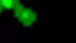 间谍摄像头抓到我丰满室友在宿舍大声呻吟自慰