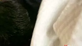 Young Lady You Are Not Going Out Dressed Like That