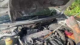 She Cheats on Her Boyfriend and Lets Me Fuck Her Holes Rough?